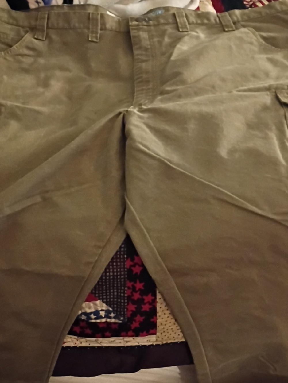 Wrangler Men's Olive Green Workwesr Pants